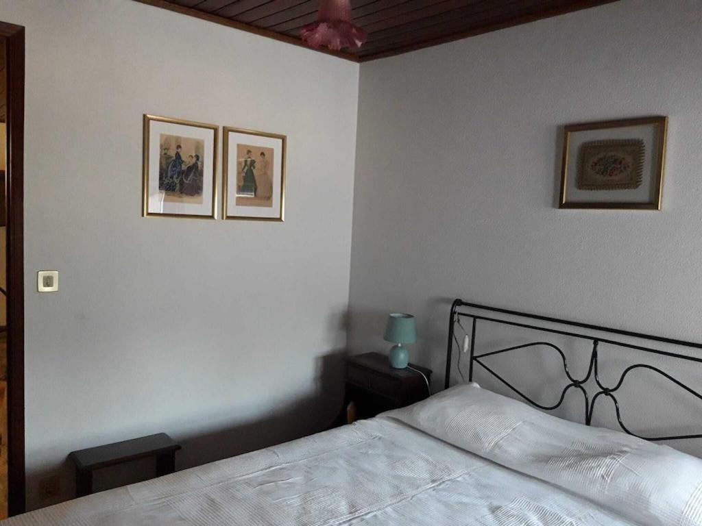Vila Casa Da Azenha Baião Exteriér fotografie